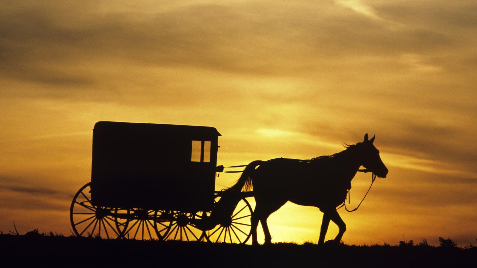 Amish Communities Adopt E‑Bikes – A Surprising Shift From Horses - Complete Specifications, Price & Review 2026