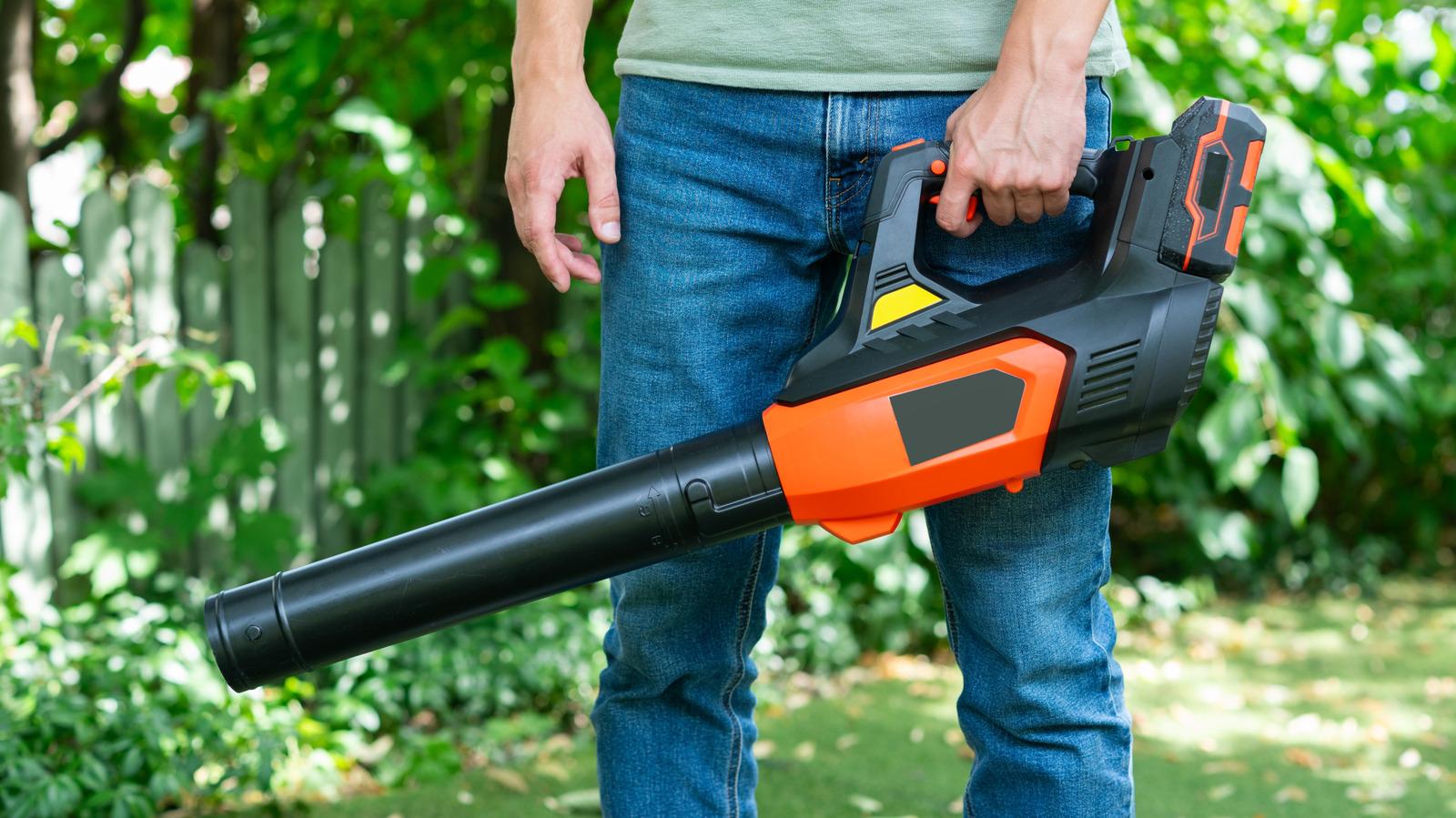 Drying Your Car With A Leaf Blower in 2026: Genius Hack or Paint Nightmare? - Specs & Review 2026