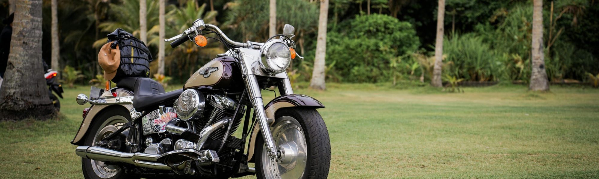 pexels-labskiii-29838566