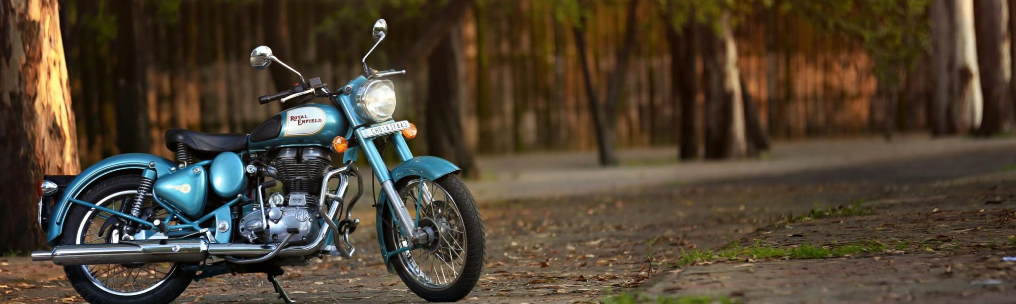 pexels-nishantaneja-2393816